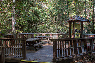 Picnic Deck
